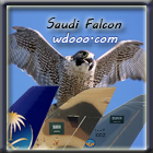   Saudi Falcon